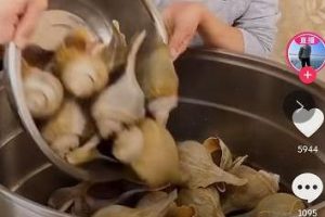 [抖音帶貨]把抖音做成淘寶，帶貨效率會更高