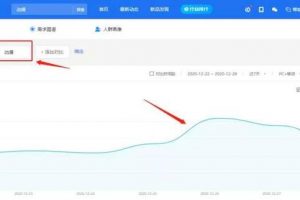 做偏門(mén)項(xiàng)目之賣(mài)動(dòng)漫手辦，一個(gè)很細(xì)分的垂直領(lǐng)域項(xiàng)目！