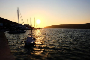 悶聲發(fā)財?shù)捻椖浚麧櫬食?00%的低門檻行業(yè)！