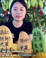 看抖音直播30天，揭秘直播賣貨秘籍