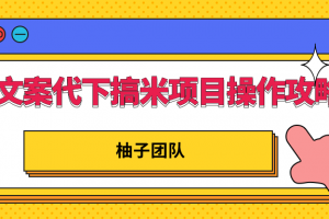 文案代下搞米項目操作方案，只要肯吃苦新手也能日入300+