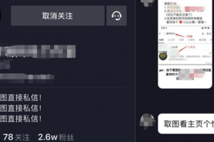 [抖音小項目]輕松日入600+，適合小白短視頻創業的抖音小項目
