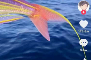 [抖音科普號(hào)]抖音科普號(hào)7天暴漲111w粉絲！？他如何做到的？