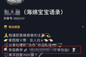 [抖音語錄號項目]抖音名人語錄視頻賺錢套路，月入過萬的玩法分享