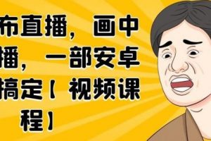 無綠布直播，畫中畫直播，一部安卓手機搞定