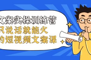 文案實操訓練營，只說話就能火的短視頻文案課
