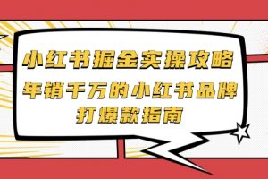 小紅書掘金實操攻略，年銷千萬的小紅書品牌打爆款指南