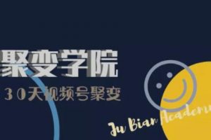 30天視頻號成長營：視頻號制作籌備+視頻剪輯+視頻號運營+引流變現