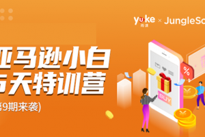 雨課·亞馬遜小白特訓(xùn)營(yíng)第9期 跨境電商挺賺錢的 有朋友已經(jīng)月入幾十萬(wàn)美金