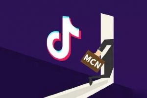 抖音MCN孵化課程，幫助商家拓客，幫助達(dá)人更好變現(xiàn)的課程，從0基礎(chǔ)到超級IP