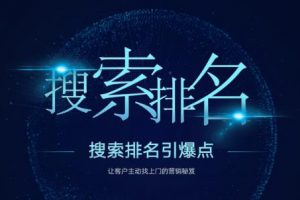 搜索排名引爆點：教你快速掌握各個搜索引擎排名算法，讓客戶主動找上你的秘笈