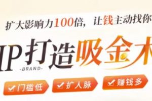 IP打造吸金術：0基礎0資源，也能擴大影響力100倍，讓錢主動找你！