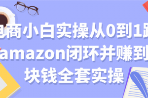 電商小白實操從0到1跑通amazon閉環(huán)并賺到一塊錢全套實操【付費文章】