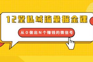 12堂私域流量掘金課：打通私域４大關卡，從０做出Ｎ個賺錢的微信號