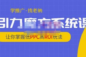 老衲·引力魔方系統課，讓你掌握低PPC高ROI玩法，價值299元