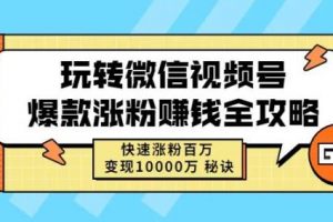 玩轉微信視頻號爆款漲粉賺錢全攻略，快速漲粉百萬變現萬元秘訣