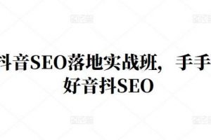 王通·抖音SEO落地實戰班，手?手帶你做好音抖??SEO