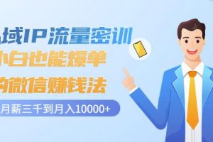 私域IP流量密訓：小白也能爆單的微信賺錢法，從月薪三千到月入10000+