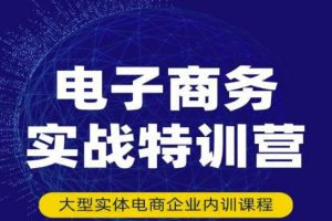 民賽電氣內部出品：電子商務實戰特訓營，全方位帶你入門電商，308種方式玩轉電商