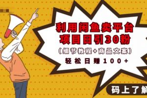 利用閑魚賣平臺項目課程資源日引流30+精準粉絲，輕松日賺100+，積累人脈可實現二次變