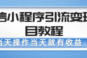 微信小程序引流變現項目教程，當天操作當天就有收益，變現不再是難事