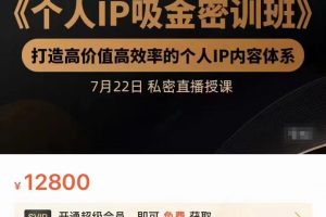 個人IP吸金密訓班，打造高價值高效率的個人IP內容體系（價值12800元）