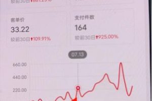 小紅書無貨源第3版，0投入起店，無腦圖文精細(xì)化玩法，每天收益300+