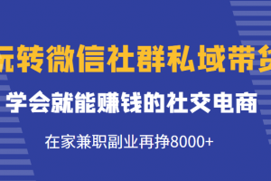 玩轉微信社群私域帶貨，學會就能賺錢的社交電商，在家兼職副業再掙8000+