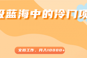 超級藍(lán)海中的冷門項目，文檔工作，好玩又賺錢，月入10000+