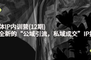 新媒體IP內訓營(12期)，一套全新的“公域引流，私域成交”IP打法，直接帶走