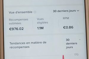 外面收費2980元的TikTok影視解說、中視頻教程，比國內(nèi)的中視頻計劃收益高