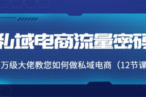 私域電商流量密碼：千萬級大佬教您如何做私域電商（12節(jié)課）