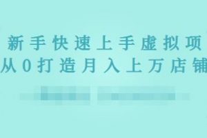 2022年虛擬項目實戰(zhàn)指南，新手從0打造月入上萬店鋪【視頻課程】