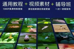 波妞波力的視頻通用教程 視頻素材 輔導(dǎo)班