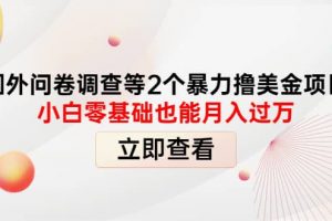 國外問卷調查等2個暴力擼美元項目，小白零基礎也能月入過萬