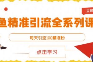閑魚精準引流全系列課程，每天引流100精準粉【視頻課程】