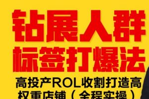 鉆展人群標簽打爆法，高投產(chǎn)ROL收割打造高權重店鋪(全程實操)