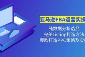 亞馬遜FBA運(yùn)營實(shí)操課 純數(shù)據(jù)分析選品 完美Listing打造 爆款打造PPC策略實(shí)操