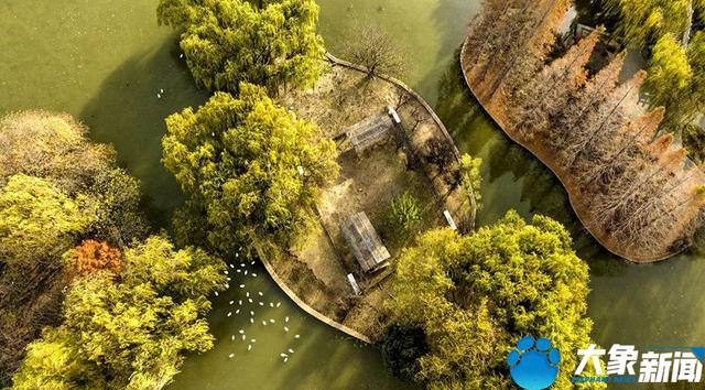 洛陽(yáng)旅游洛陽(yáng)旅游攻略自由行攻略插圖1