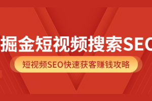 掘金短視頻搜索SEO，短視頻SEO快速獲客賺錢攻略（價值980）