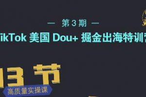 TikTok美國Dou 掘金出海特訓營，美國dou 成功投放95%