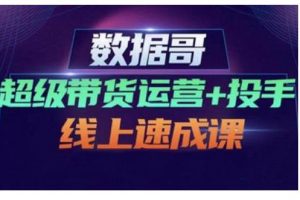 數(shù)據(jù)哥·超級帶貨運(yùn)營 投手線上速成課，快速提升運(yùn)營和熟悉學(xué)會投手技巧