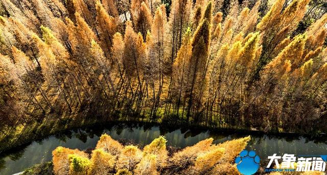 洛陽(yáng)旅游洛陽(yáng)旅游攻略自由行攻略插圖