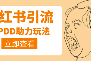 利用小紅書賣拼多多助力