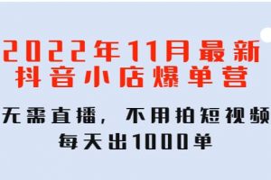 2022年11月最新抖音小店爆單訓練營：無需直播，不用拍短視頻，每天出1000單