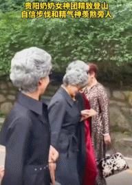 旅行團旅行團樂隊成員介紹插圖7