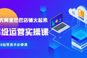 【90天阿里巴巴店鋪火起來】高級運營實操課，1688運營高手必修課