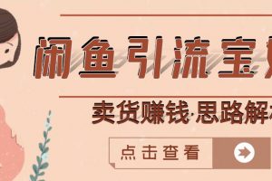 閑魚引流寶媽粉 賣貨賺錢一個(gè)月收益30000 （實(shí)操視頻教程）