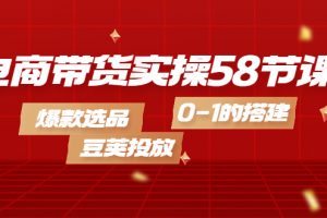 電商帶貨實操58節課，爆款選品，豆莢投放，0-1的搭建
