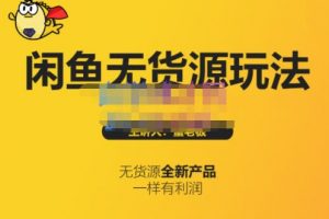 蟹老板·閑魚無貨源玩法(入門 高級)，最適合個人互聯網的創業項目